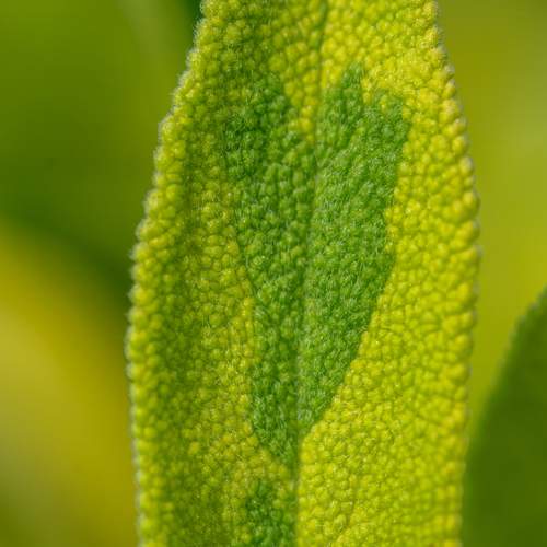 Photo #13604823