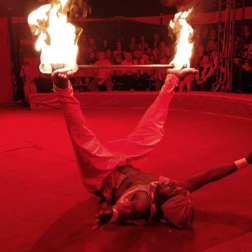 Photo #13604878
