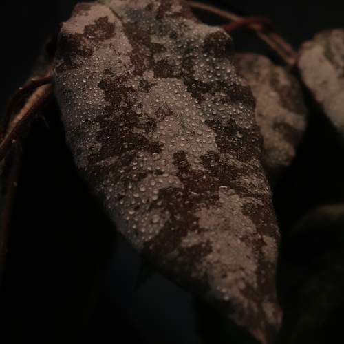 Photo #13604935