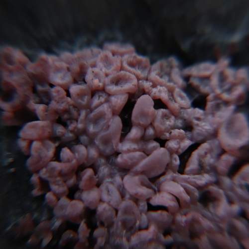 Photo #13604941