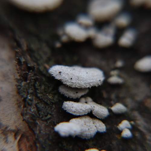 Photo #13604943