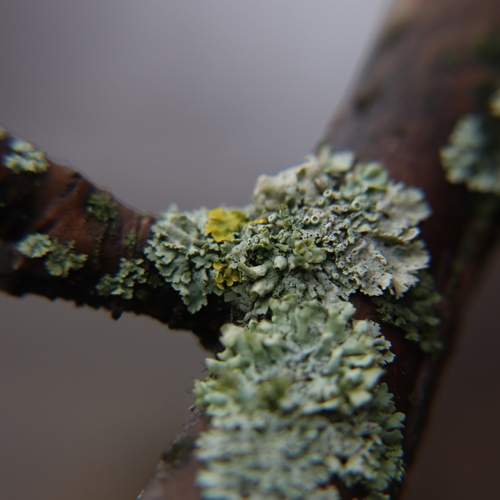 Photo #13604946