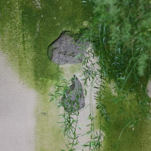 Photo #13604963