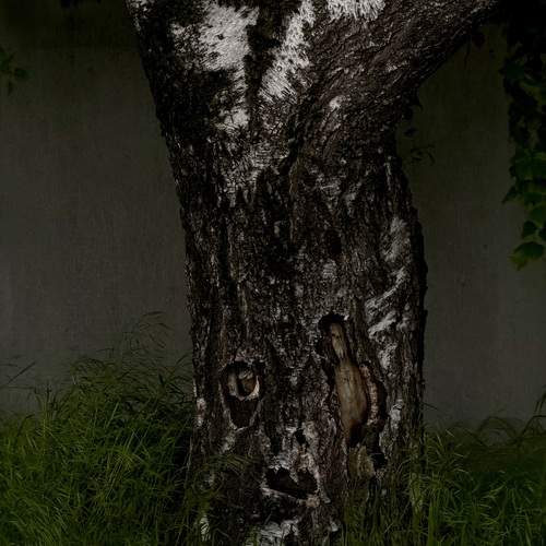 Photo #13604981