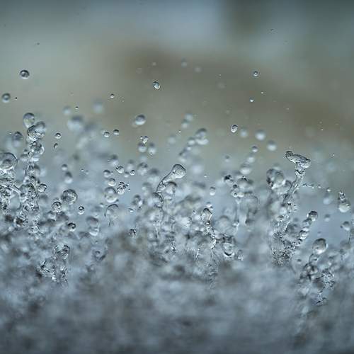 Photo #13605017