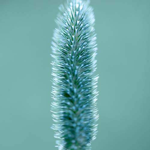 Photo #13605080
