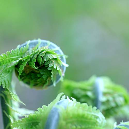 Photo #13605082