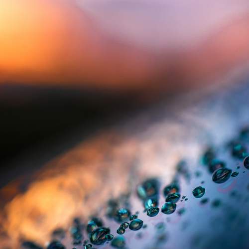 Photo #13605137