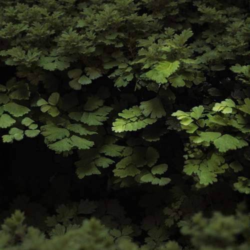 Photo #13605234