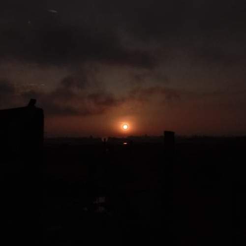 Photo #13605289