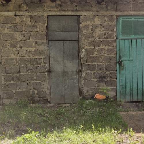 Photo #13605292