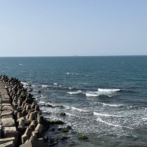 Photo #13605324