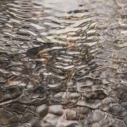 Photo #13605364