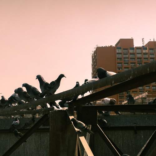 Photo #13605382