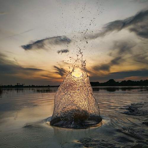 Photo #13605415