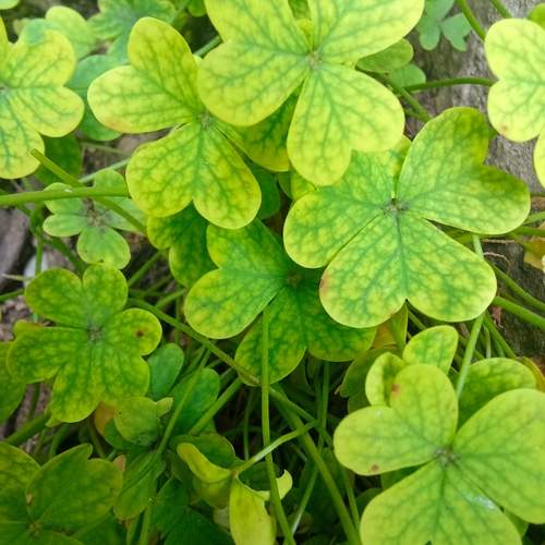 Photo #13605420