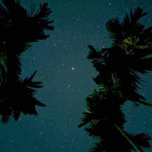 “Whispers Beneath the Stars”