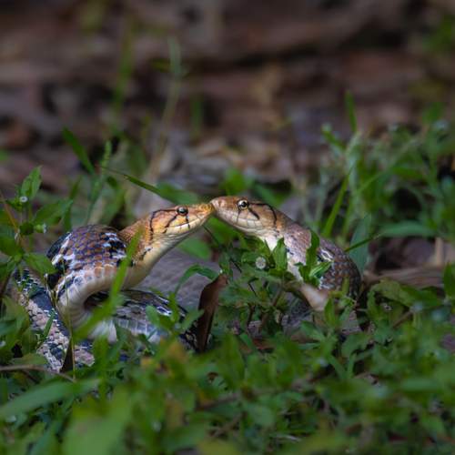 Photo #13605470