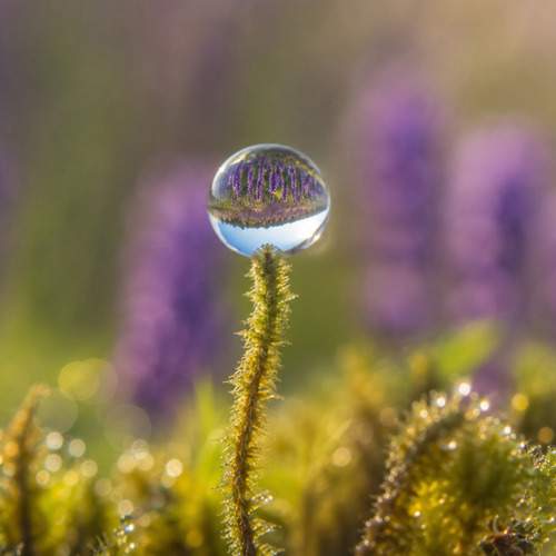 Photo #13605507