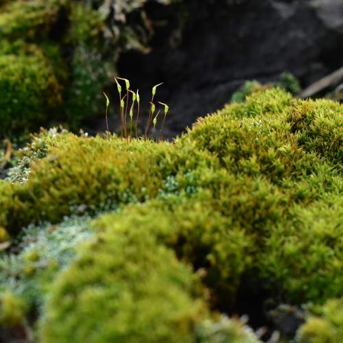 Photo #13605552