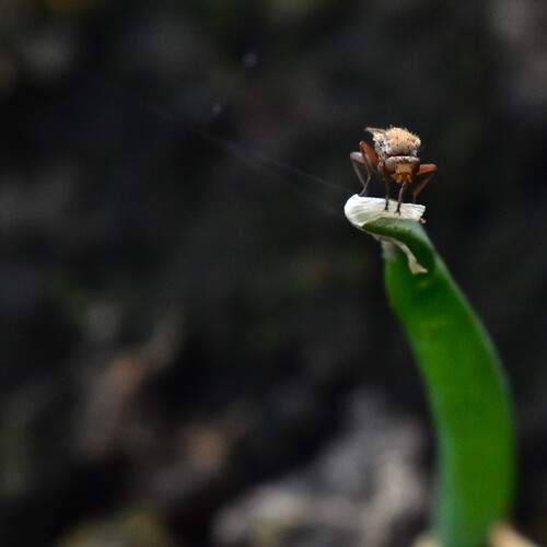 Photo #13605553