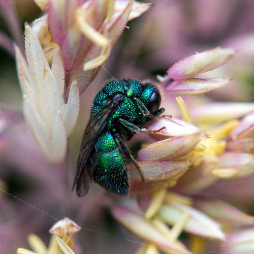 Photo #13605579