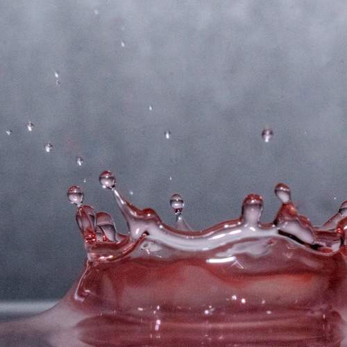 Photo #13605586