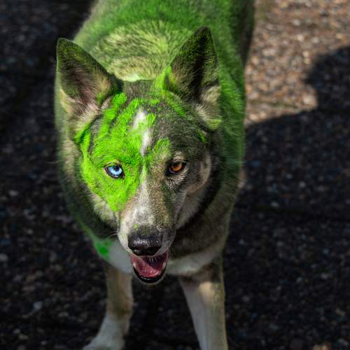 Photo #13605627