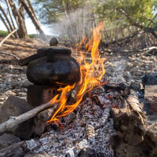 Photo #13605744