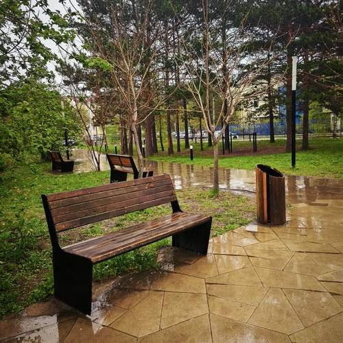 Photo #13605752