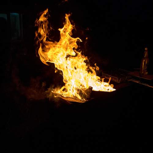 Photo #13605776