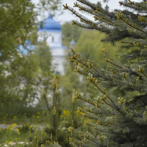 Mogilev