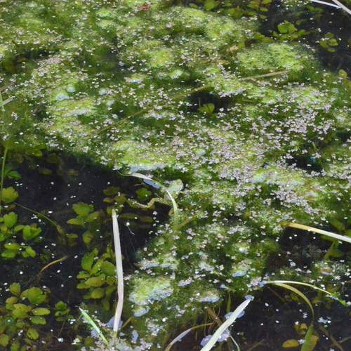 Photo #13605838