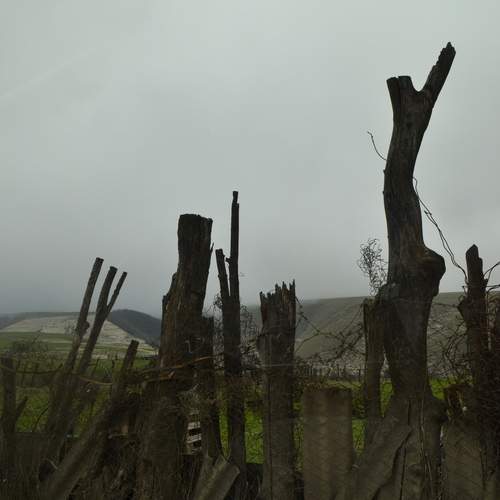 Photo #13605840
