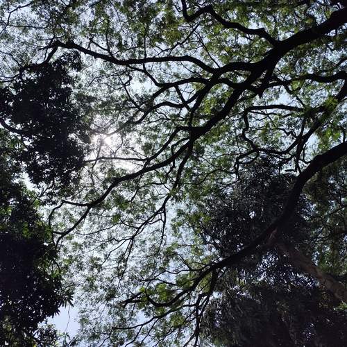 Photo #13605869
