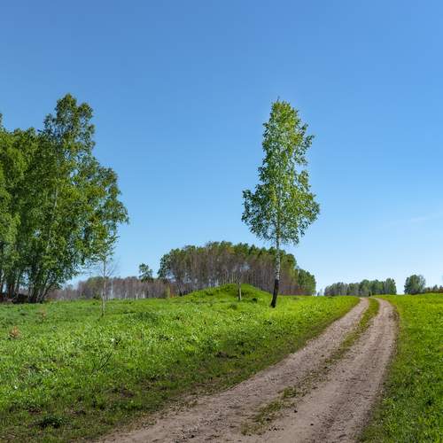 Одинокая.