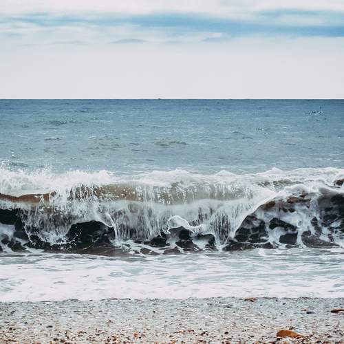 Photo #13605883