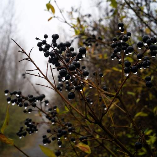 Photo #13606022