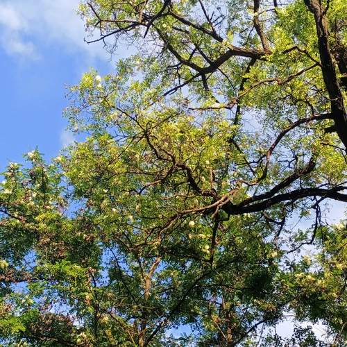 Photo #13606025