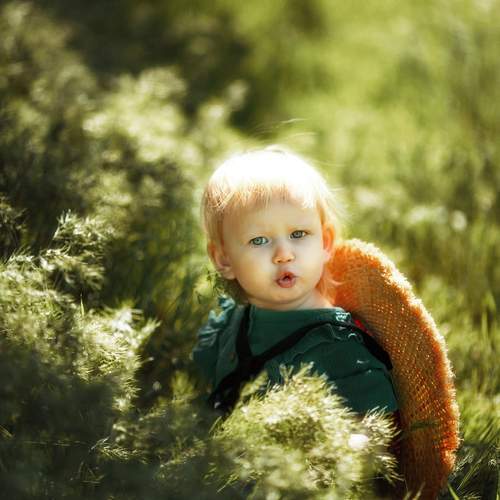 Photo #13606046