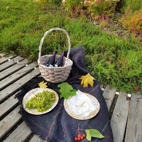 Photo #13606125