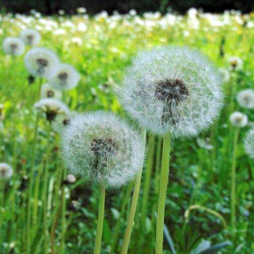 Photo #13606158