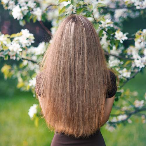 Photo #13606204