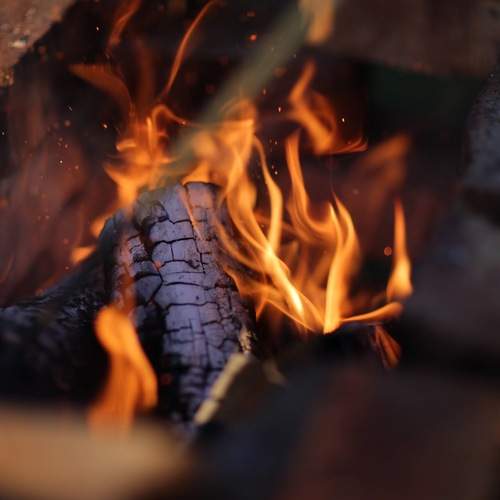 Photo #13606283