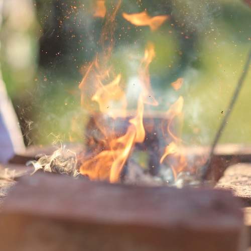 Photo #13606284