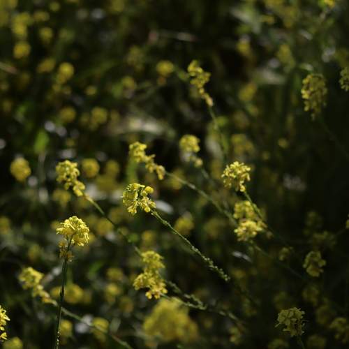 Photo #13606335