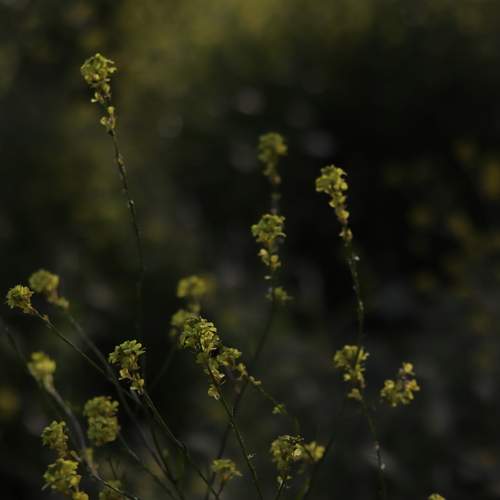 Photo #13606336