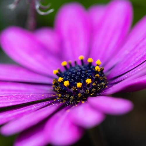 Photo #13606349