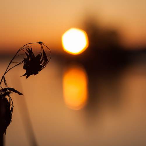 Photo #13606362