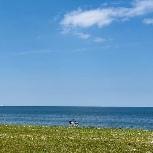 Photo #13606601